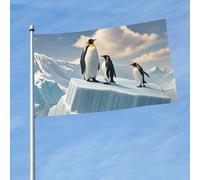 Bandiera da 150 cm x 90 cm, bandiera da esterno su entrambi i lati, resistente, con 2 occhielli, decorazione per cortile, pinguini sull'iceberg, bandiere di benvenuto in poliestere per vacanze cortile