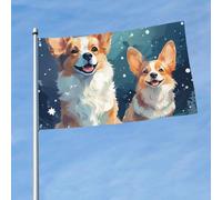 Bandiera da 150 cm x 90 cm, bandiera da esterno su entrambi i lati, resistente, con 2 occhielli, decorazione per cortile, graziose bandiere di benvenuto in poliestere per vacanze cortile tutte le