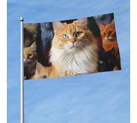 Bandiera da 150 cm x 90 cm, bandiera da esterno su entrambi i lati, resistente, con 2 occhielli, decorazione per cortile, gatti, animali, bandiere di benvenuto, per vacanze e cortili, tutte le