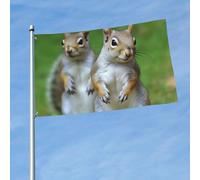 Bandiera da 150 cm x 90 cm, bandiera per esterni su entrambi i lati, resistente, con 2 occhielli, decorazione per cortile, scoiattolo, bandiere di benvenuto, per vacanze e cortili, tutte le stagioni