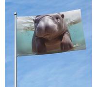 Bandiera da 150 cm x 90 cm, per interni ed esterni, con occhiello, per primavera ed estate, cucciolo di ippopotamo, bandiere per esterni, giardino, cortile, cartello decorativo stagionale benvenuto
