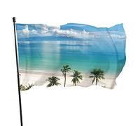 Bandiera da 9,6 x 1,5 m con paesaggio tropicale con palme dai colori vivaci per sport all'aria aperta, bandiera da cortile in poliestere resistente allo sbiadimento, con 2 occhielli in ottone, per