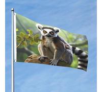 Bandiera da 90 cm x 60 cm, bandiera per esterni su entrambi i lati, resistente, con 2 occhielli, decorazione per cortile, bandierine ad anello in poliestere, bandiere di benvenuto per vacanze cortile