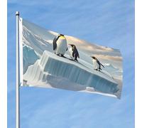 Bandiera da 90 cm x 60 cm, bandiera per esterni su entrambi i lati, resistente, con 2 occhielli, decorazione per cortile, pinguini sull'iceberg, bandiere di benvenuto in poliestere per vacanze cortile