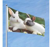 Bandiera da 90 cm x 60 cm, bandiera per esterni su entrambi i lati, resistente, con 2 occhielli, decorazione per cortile, due piccoli coniglietti in poliestere bandiere di benvenuto per vacanze