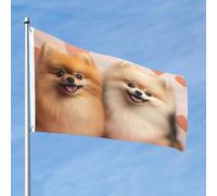 Bandiera da 90 cm x 60 cm, bandiera per esterni su entrambi i lati, resistente, con 2 occhielli, decorazione per cortile, cuccioli di Pomerania, bandiere di benvenuto in poliestere per vacanze cortile