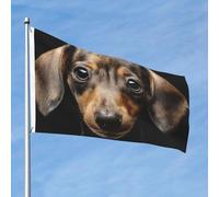 Bandiera da 90 cm x 60 cm, doppia faccia, per esterni, resistente, con 2 occhielli, decorazione per cortile, bassotto, in poliestere, bandiere di benvenuto per vacanze e cortile tutte le stagioni