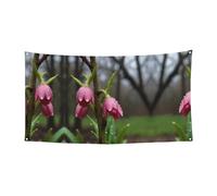 Bandiera da appendere stampata con germogli di primavera dopo la pioggia, 177,8 x 88,9 cm, per feste di Natale, 180 x 90 cm