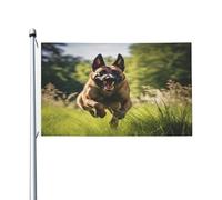 Bandiera Da Cortile Belgian Malinois Dogs Bandiera Da Giardino Gran Bandiera Pirati Per Barca, La Fattoria All'Aperto, Feste, 90X150cm