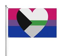 Bandiera Da Cortile Bisexual Demiromantic Pride Bandiera Pirati Decorazione Bandiera Dell'Individualità Per La Fattoria All'Aperto, Giardino, Feste, 90X150cm