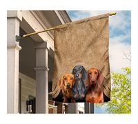 Bandiera Da Cortile Multicolore Bandiera Da Giardino Durevole Bandiere Pirati Decorazione Per Interni Giardino Patio Divertenti Tre Bassotti Carini Sotto Una Tenda Colorata Vintage M