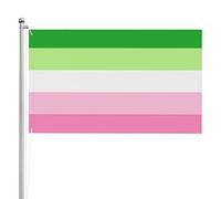 Bandiera Da Cortile Transgender Rainbow Pride Bandiera Personalizzata Gran Bandiera Da Giardino Per La Fattoria All'Aperto, Cortile, Barca, 90X150cm