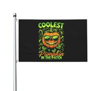 Bandiera Da Esterno Coolest Pumpkin In The Patch Banner Con Occhielli Moda Bandiere Da Cortile Per Balcone Interni Casa 90X150Cm
