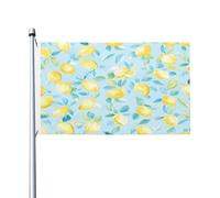 Bandiera da esterno Summer Lemon con sfondo azzurro chiaro, 90x150 cm, bifacciale, in poliestere, decorativa per giardino, patio, prato, veranda, balcone.