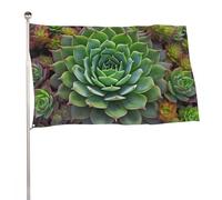 Bandiera da giardino 119,4 x 177,8 cm, bandiera da giardino per esterni succulente bandiera grande con occhielli in ottone resistente allo sbiadimento bandiera per esterni per la decorazione della