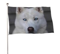 Bandiera da giardino 119,4 x 177,8 cm per esterni, a prova di sbiadimento, bandiera decorativa da cortile con occhi azzurri, Husky bianco, grande bandiera con occhielli in ottone, striscione