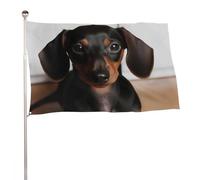 Bandiera da giardino 119,4 x 177,8 cm per esterni, a prova di sbiadimento, bandiera decorativa da cortile carina Wiener con cane salsiccia grande bandiera con occhielli in ottone banner resistente per