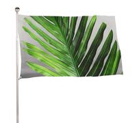 Bandiera da giardino 119,4 x 177,8 cm per esterni con foglie di palma verde, bandiera grande con occhielli in ottone resistente allo sbiadimento, bandiera esterna per la decorazione della casa