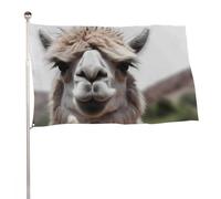 Bandiera da giardino 119,4 x 177,8 cm per esterni, divertente bandiera alpaca lama per le vacanze, grande striscione con occhielli in ottone, resistente allo sbiadimento, bandiera esterna per la