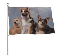 Bandiera da giardino 152,4 x 243,8 cm per esterni, a prova di sbiadimento, bandiera decorativa da cortile per cani, grande bandiera con occhielli in ottone, striscione resistente per prato, patio