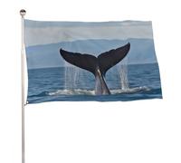 Bandiera da giardino 152,4 x 243,8 cm, per esterni, a prova di sbiadimento, bandiera decorativa da cortile, coda di balena, grande bandiera con occhielli in ottone, striscione resistente per prato