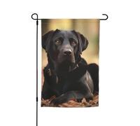 Bandiera da giardino 30,5 x 45,7 cm a doppia faccia Primavera Estate Benvenuto Bandiera da giardino Simpatico Labrador Cane Decorazione Esterna Banner Bandiera Cortile Festività Stagionale Banner