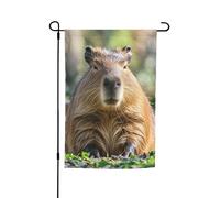 Bandiera da giardino 30,5 x 45,7 cm a doppio lato, bandiera capibara con occhi chiusi banner stagionale all'aperto per primavera estate prato portico decorazione casa piccola bandiera da giardino