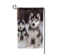 Bandiera da giardino 30,5 x 45,7 cm, bandiera esterna su entrambi i lati, bandiera stagionale di benvenuto da cortile, decorazione per esterni, fattoria, adorabili bandiere husky per patio, prato e