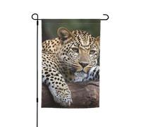 Bandiera da giardino 30,5 x 45,7 cm, doppia faccia primavera estate bandiera decorativa cortile bandiera leopardo appoggiato su un albero piccola bandiera stagionale decorazione per esterni