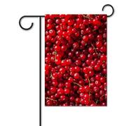 Bandiera da giardino 30,5 x 45,7 cm, doppia faccia, verticale, con bacche rosse fresche, bandiere di benvenuto, piccole bandiere decorative per esterni, per tutte le stagioni, striscioni per casa