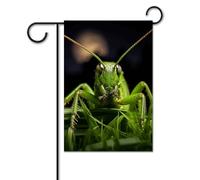 Bandiera da giardino, 30,5 x 45,7 cm, doppia faccia, verticale, con cavalletta sull'erba, bandiera di benvenuto, piccola bandiera decorativa per esterni, per tutte le stagioni, striscioni per casa