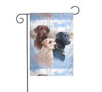 Bandiera da giardino 30,5 x 45,7 cm YYHHAOFA Labrador Retrievers modello decorazione da giardino spessa resistente alle pieghe per giardino esterno prato terrazza