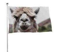 Bandiera da giardino 61 x 88,9 cm per esterni, divertente alpaca lama, bandiera grande con occhielli in ottone resistente allo sbiadimento, bandiera esterna per la decorazione della casa fattoria