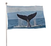 Bandiera da giardino 88,9 x 150 cm per esterni a prova di sbiadimento bandiera decorativa da cortile bandiera coda di balena grande bandiera con occhielli in ottone banner resistente per prato patio