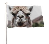 Bandiera da giardino 89 x 150 cm per esterni, divertente bandiera alpaca lama per le vacanze, grande striscione con occhielli in ottone resistente allo sbiadimento, bandiera esterna per la decorazione