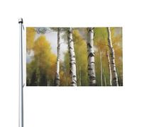 Bandiera Da Giardino Birch Trees Bandieradacortile Antivento Bandierada Balcone Premium Bandiere Decorative Per Esterno Festival Celebrazioni 90X152CM
