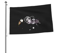 Bandiera Da Giardino Chase The Ice Cream Bandiere Decorative Colore Vivido Garden Flag Durevole Bandiera Da Cortile Per Esterno Festival Celebrazioni 90X152CM