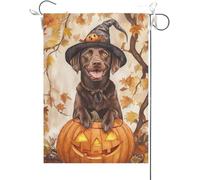 Bandiera Da Giardino Chocolate Labrador Dog Leaning Over The Scary Pumpkin, Halloween Fall Autumn Bandiera Da Cortile Premium Garden Flag Colore Vivido Bandiere Decorative Per Feste 30X45CM
