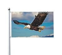 Bandiera da giardino con aquila volante, 9,1 x 1,5 m