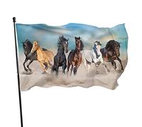 Bandiera da giardino con cavalli 3x5 FT Animali Cavalli Corrono al galoppo liberi nel deserto contro la tempesta Design del cielo Bandiere da cortile in poliestere Casa Patio Prato Striscione di aug