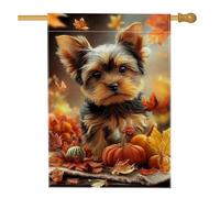 Bandiera da giardino con cucciolo autunnale carino, foglie colorate di cane Yorkie, decorazione per esterni, striscione su entrambi i lati, decorazione per prato del Ringraziamento, 71 x 101 cm