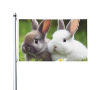 Bandiera da giardino con due piccoli conigli, 9 x 1,5 m, bandiera da giardino su entrambi i lati, resistente allo sbiadimento, bandiera per esterni, divertente bandiera per vacanze con occhielli in