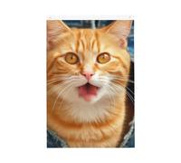 Bandiera da giardino con gatto arancione che sporge la lingua di benvenuto da 2 x 3 Ft su entrambi i lati nessuna dissolvenza bandiere per casa cortile sfondo foto banner per feste per cortile portico