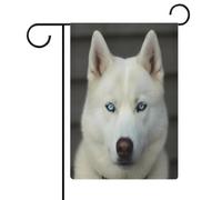 Bandiera da giardino con husky bianco dagli occhi azzurri, cartello di benvenuto su entrambi i lati, piccole bandiere personalizzate per piscina, cortile, decorazione da parete per la casa, 32 x 47 cm