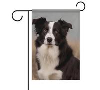 Bandiera da giardino con motivo Border Collie, primavera, estate, floreale, 12 x 18 pollici, decorazione da esterno bifacciale per primavera, inverno, fattoria, resistente allo sbiadimento e facile