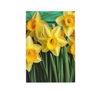 Bandiera da giardino con narcisi gialli e fiori di benvenuto, 0,9 x 0,9 m, double face, non sbiadisce, per casa, cortile, cortile, cortile, prato, decorazione esterna