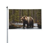 Bandiera da giardino con orso bianco e orso marrone, 9 x 1,5 m