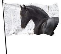 Bandiera da giardino con ritratto di cavallo frisone nero resistente alle intemperie, bandiera da gioco 3 x 5 piedi decorazioni per la casa all'aperto