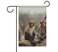 Bandiera da giardino con scimmia seduta su entrambi i lati, nessuna dissolvenza, bandiere di benvenuto, 30,5 x 45,7 cm, decorativa, piccola bandiera da giardino, decorazione per esterni, patio, prato