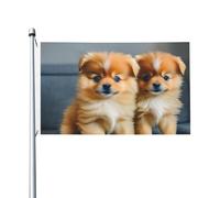 Bandiera da giardino con stampa di cuccioli della Pomerania e punto, 90 x 1,5 m